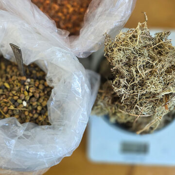 Botanisch verven Niveau II door Loret Karman