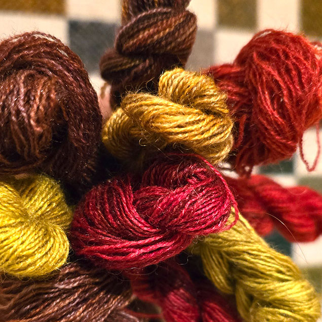 5 dagen botanisch verven met Loret Karman