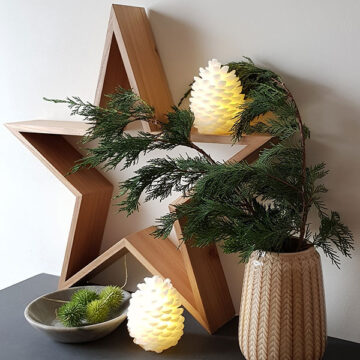 Design ster 65 cm - Iepenhout