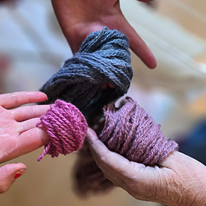 Botanisch verven Niveau II door Loret Karman - Afbeelding 4