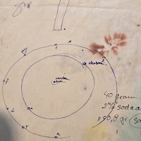Botanisch verven Niveau II door Loret Karman - Afbeelding 2