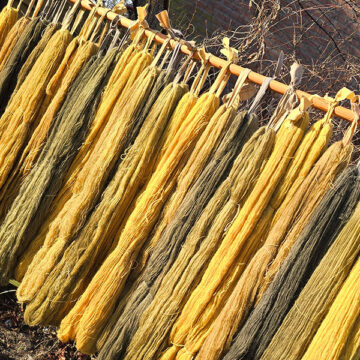 Alternative view of Beits dag - botanisch masterprogramma met Loret Karman